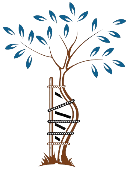 Dr. Paramjeet Gambhir